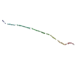 Fasciculation And Elongation Protein Zeta 1 (FEz1)