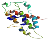 Fat Storage Inducing Transmembrane Protein 1 (FITM1)