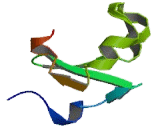 Fatty Acid Desaturase 1 (FADS1)