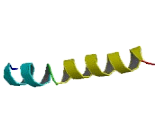 Fc Fragment Of IgE, High Affinity I, Receptor For Gamma Polypeptide (FceR1g)