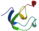 Fc Fragment Of IgG Binding Protein (FcgBP)