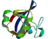 Ferredoxin 1 (FDX1)