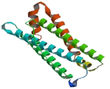 Ferritin, Light Polypeptide (FTL)