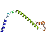 Fetal And Adult Testis Expressed Protein 1 (FATE1)