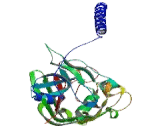 Fibrinogen Beta Chain (FGB)