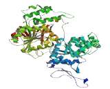 Fibrinogen Silencer Binding Protein (FSBP)