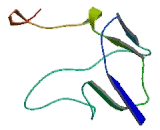 Fibroblast Growth Factor Receptor Like Protein 1 (FGFRL1)