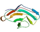 Fibronectin Type III And SPRY Domain Containing Protein 1 (FSD1)