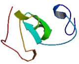 Fibronectin Type III And SPRY Domain Containing Protein 2 (FSD2)