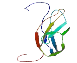 Fibronectin Type III Domain Containing Protein 3B (FNDC3B)