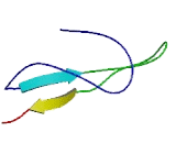 Fibronectin Type III Domain Containing Protein 5 (FNDC5)