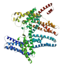 Fibrous Sheath CABYR Binding Protein (FSCB)