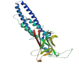 Fibrous Sheath Interacting Protein 1 (FSIP1)