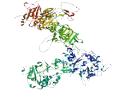 Fibrous Sheath Interacting Protein 2 (FSIP2)