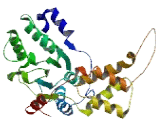 Fidgetin Like Protein 1 (FIGNL1)