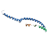 Fin Bud Initiation Factor (FIBIN)