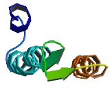 Calcium Channel Flower Domain Containing Protein 1 (CACFD1)