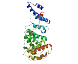 Focadhesin (FOCAD)