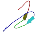 Folate Receptor 4 (FOLR4)