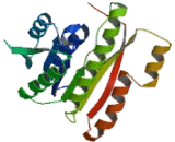 Follicular Lymphoma Variant Translocation 1 (FVT1)