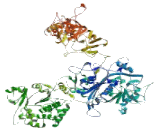 Folliculin Interacting Protein 1 (FNIP1)