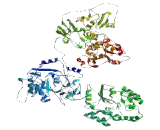 Folliculin Interacting Protein 2 (FNIP2)