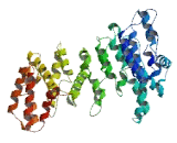 Forkhead Associated Domain Containing Protein 1 (FHAD1)