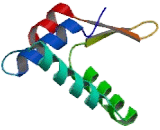 Forkhead Box Protein I1 (FOXI1)