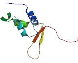 Forkhead Box Protein I3 (FOXI3)