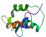 Forkhead Box Protein K1 (FOXK1)