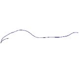 Formin Like Protein 1 (FMNL1)