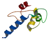 Formyl Peptide Receptor 3 (FPR3)