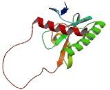 Fragile Histidine Triad Gene (FHIT)