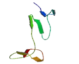 Fraser Syndrome Protein 1 (FRAS1)