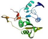 Frequently Rearranged In Advanced T-Cell Lymphomas 1 (FRAT1)