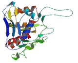 Fructosamine-3-Kinase (FN3K)