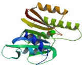 rRNA Methyltransferase 2, Mitochondrial (MRM2)