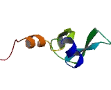 FtsJ Methyltransferase Domain Containing Protein 1 (FTSJD1)