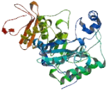 Fucosidase Alpha L2, Plasma (FUCa2)