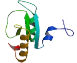 Fucosyltransferase 10 (FUT10)