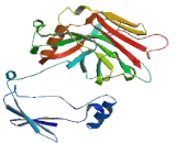 Fumarylacetoacetate Hydrolase Domain Containing Protein 2B (FAHD2B)