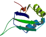 Functional Spliceosome Associated Protein 94 (fSAP94)