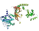 Functional Spliceosome Associated Protein b (fSAPb)