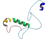 G Antigen 12B (GAGE12B)