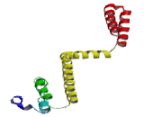 G Kinase Anchoring protein 1 (GKAP1)