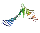 G Patch Domain Containing Protein 2 (GPATCH2)