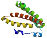 G Patch Domain Containing Protein 8 (GPATCH8)