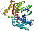 G Protein Alpha 15 (GNa15)