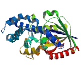 G Protein Alpha Inhibiting Activity Polypeptide 1 (GNaI1)