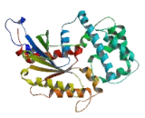 G Protein Alpha Inhibiting Activity Polypeptide 3 (GNaI3)